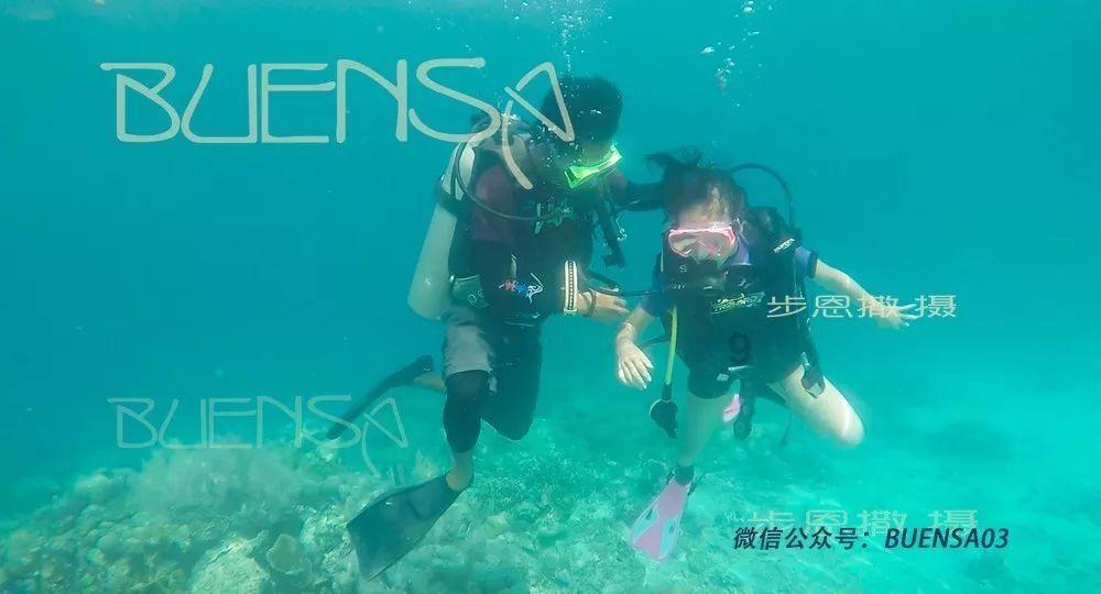 “探长精神”点题长安福特新能源:打响“三大战役”敢为天下先