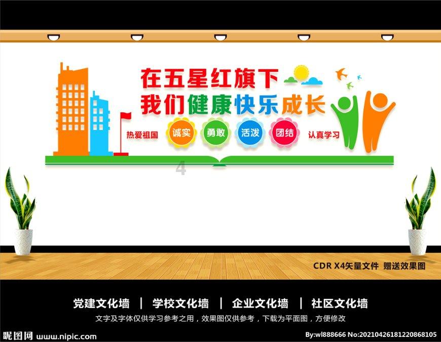 细胞分裂6