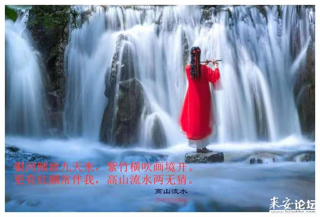 皖中评│合肥机动车驶入“三百万时代”为何“悄无声息”？